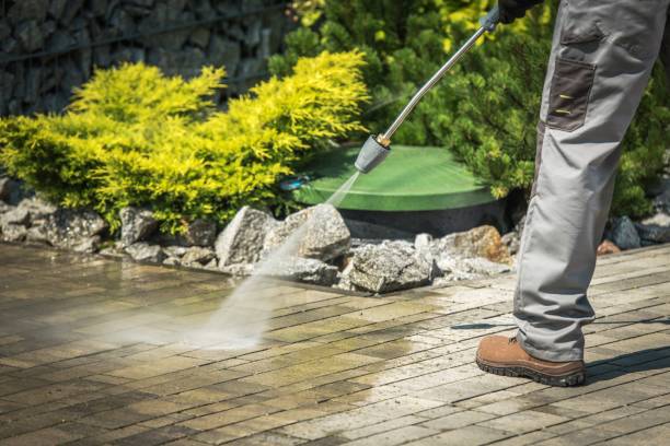 Boat and Dock Cleaning in Saunders Lake, OR